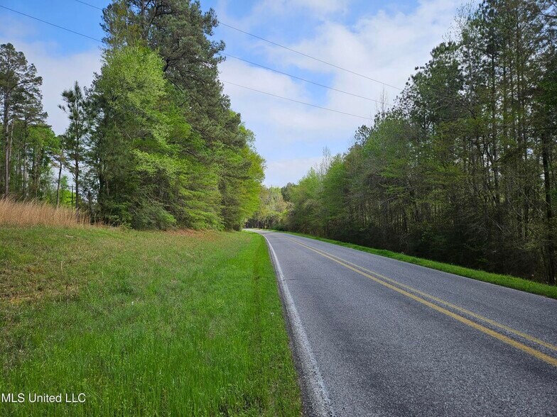Primary Photo Of 0 Hwy 43, Silver Creek Land For Sale