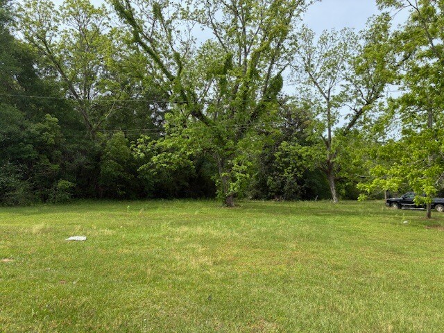 More Photos Of 10030 Grand Bay Wilmer Rd S, Grand Bay Land For Sale