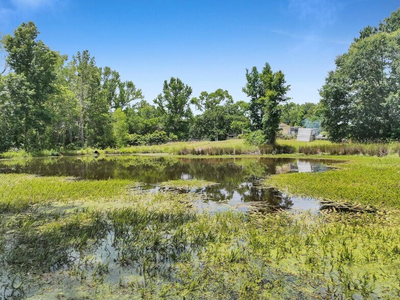 More Photos Of 8323 County Road 292, Buffalo Land For Sale