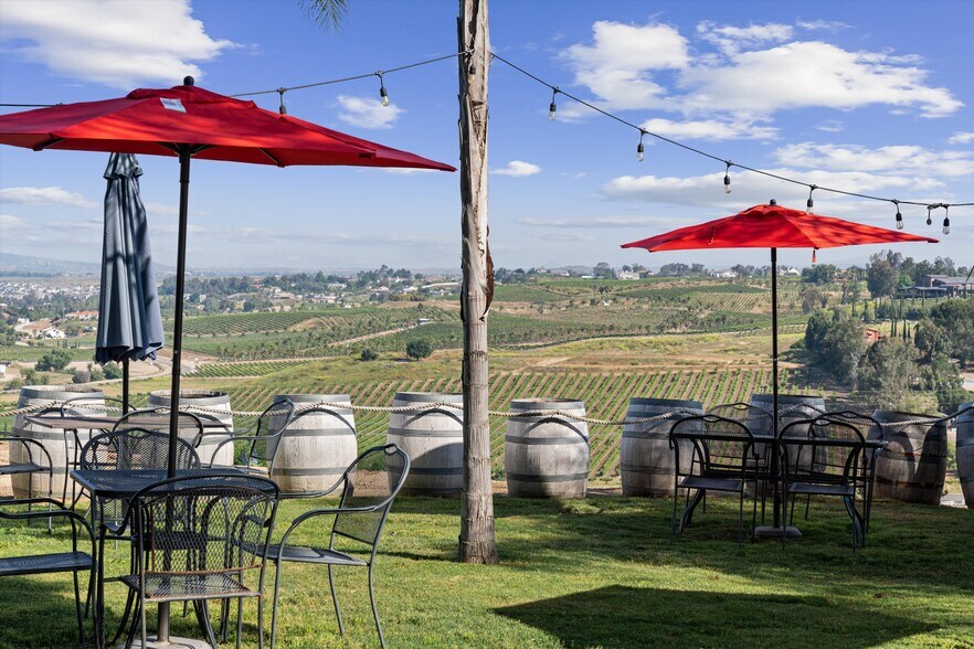 More Photos Of 41220 Calle Contento, Temecula Winery Vineyard For Sale