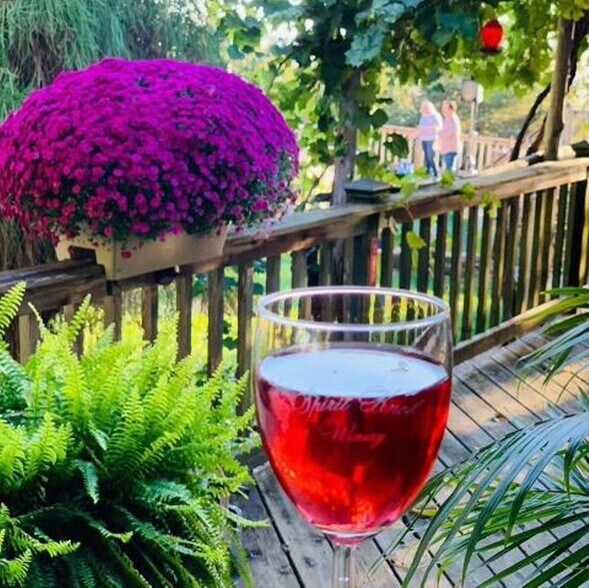 More Photos Of 2211 E 640th Pl, Ursa Winery Vineyard For Sale