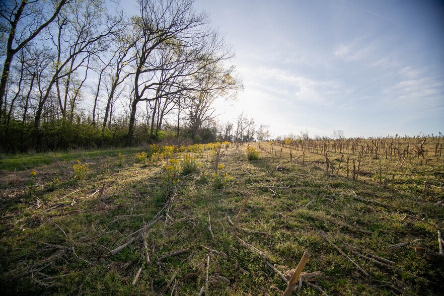 More Photos Of 2175 Dobbins Pike, Portland Land For Sale