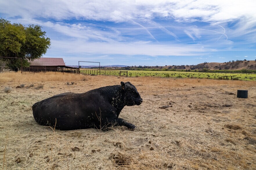 More Photos Of 13625 E Highway 46, Paso Robles Land For Sale
