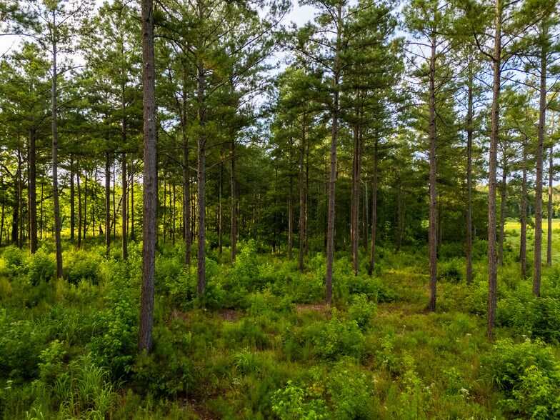 More Photos Of 2199 Roosterville Rd, Roopville Horse Stables For Sale