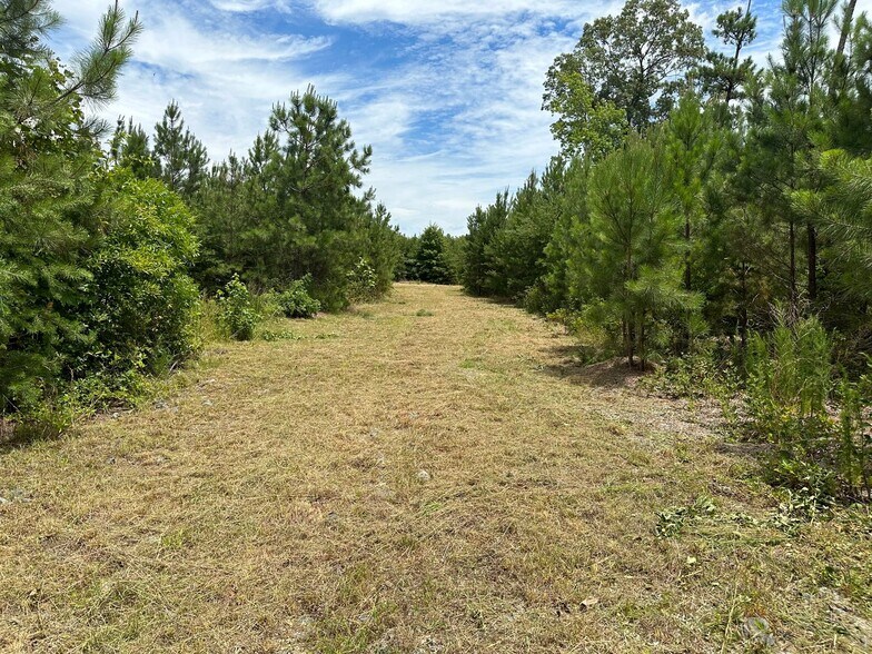 More Photos Of 22361 US Route 1 Hwy, Ruther Glen Land For Sale