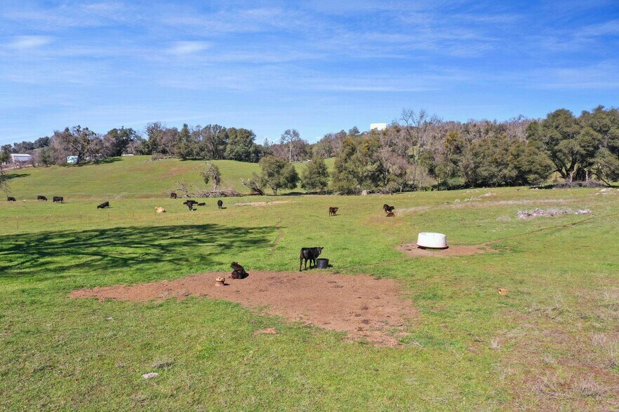 More Photos Of 1229 Murray Creek, San Andreas Land For Sale