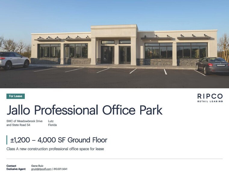 Primary Photo Of State Route 54 & Meadowbrook Dr, Lutz Office For Lease