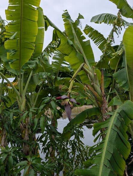 More Photos Of 5060 Industry Dr, Melbourne Manufacturing For Sale