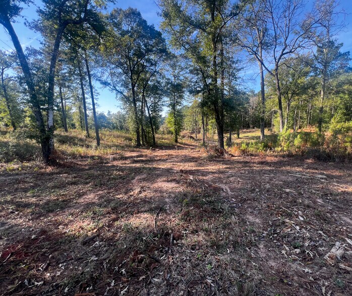 More Photos Of 0 Highway 198, Lucedale Land For Sale