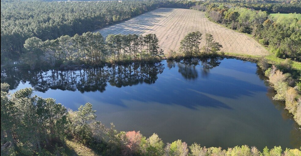 More Photos Of Ferry Lake rd, Tifton Land For Sale
