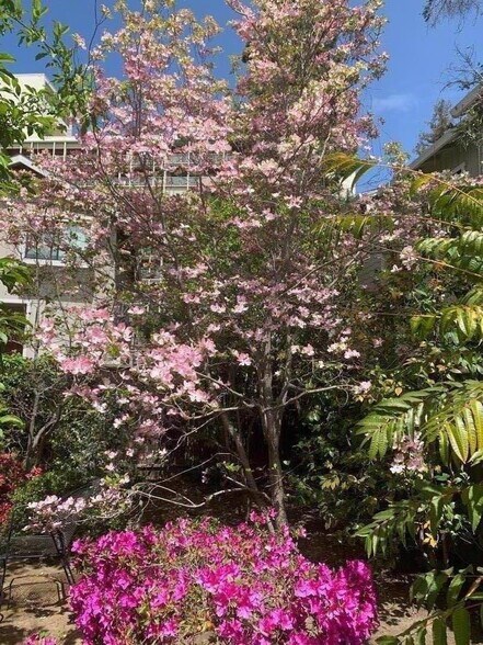 More Photos Of 837 Cowper St, Palo Alto Apartments For Sale