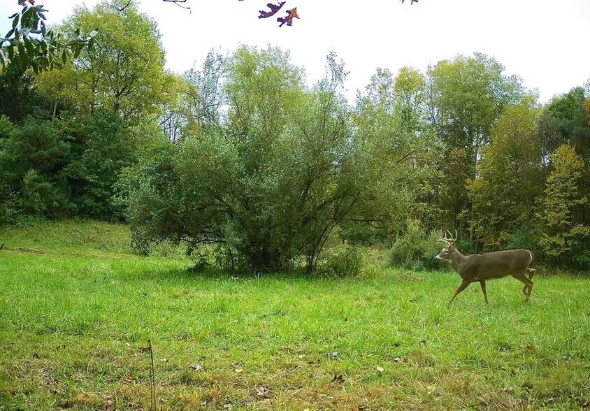 More Photos Of 0 Lower Mudlic rd, Mayport Land For Sale