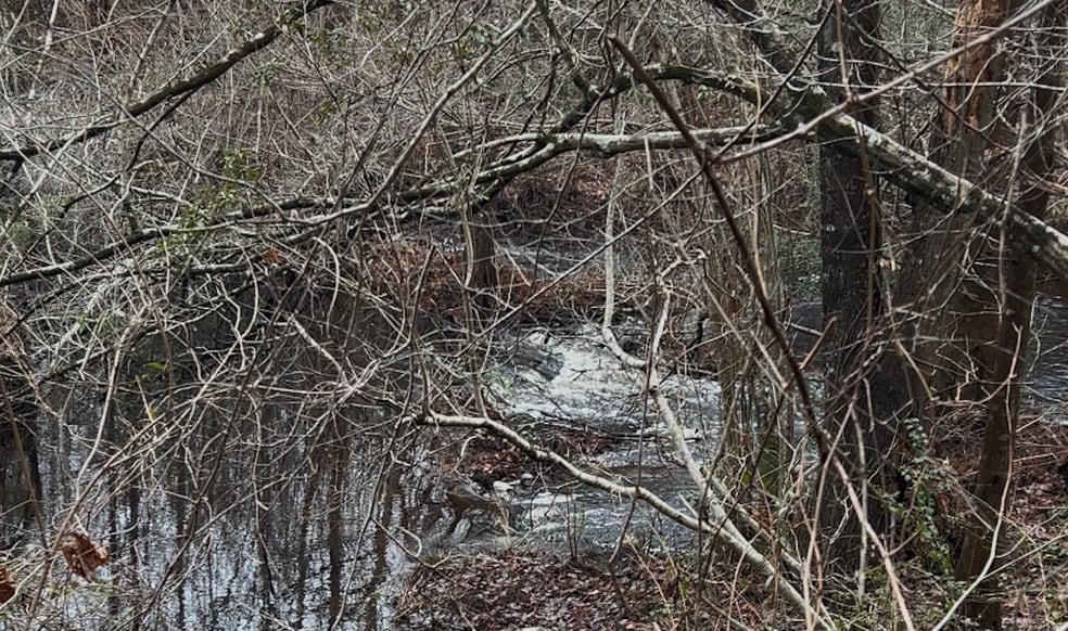 More Photos Of Victoria Blvd, Winnabow Land For Sale