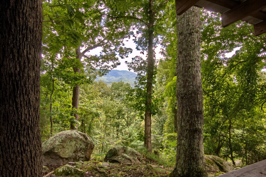 More Photos Of 5830 NC 209 Hwy, Hot Springs Specialty For Sale