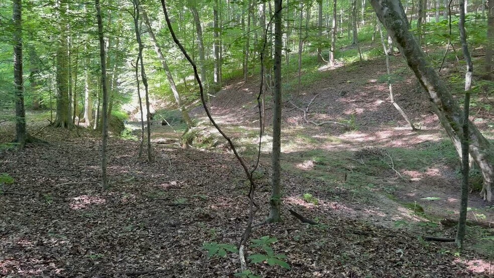 More Photos Of 400 Eden Church rd, Madison Land For Sale