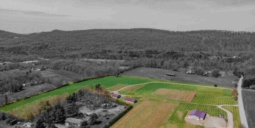 Primary Photo Of 596 Harman Rd, Halifax Winery Vineyard For Sale