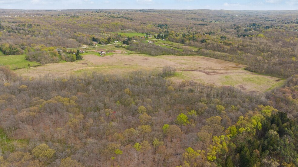 More Photos Of 17286 Ridge Rd, North Royalton Land For Sale