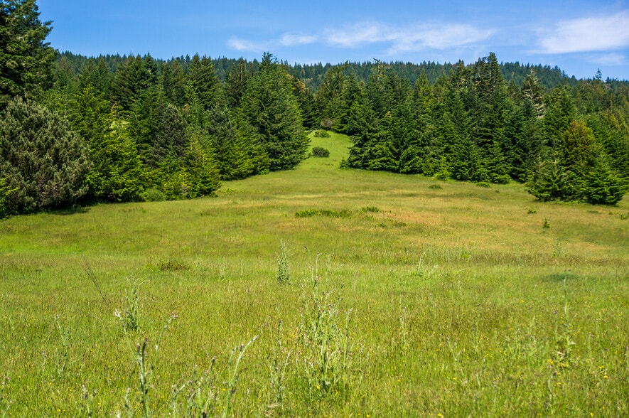 More Photos Of 16401 South Highway 1, Manchester Land For Sale