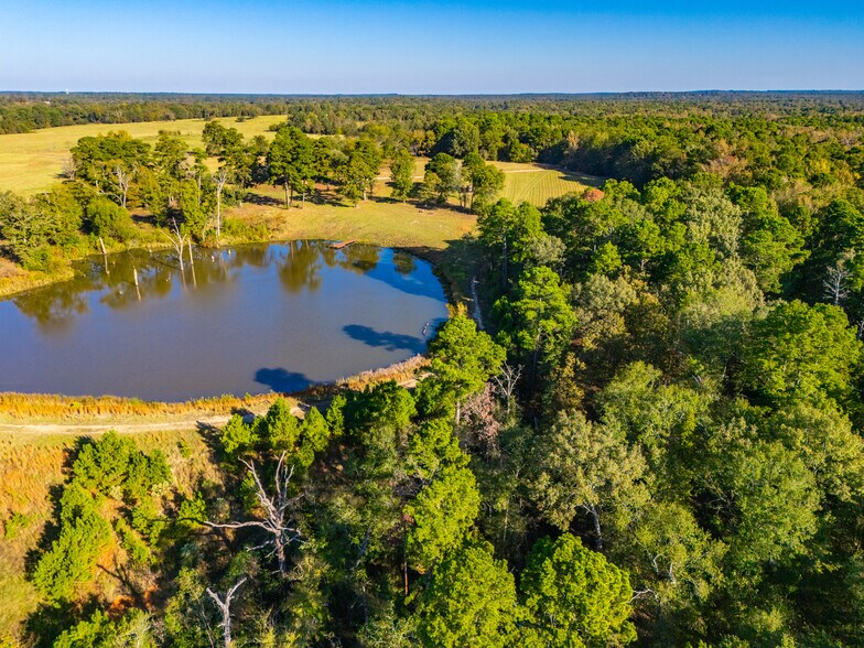 More Photos Of 391 Farm to Market 1519, Scroggins Land For Sale