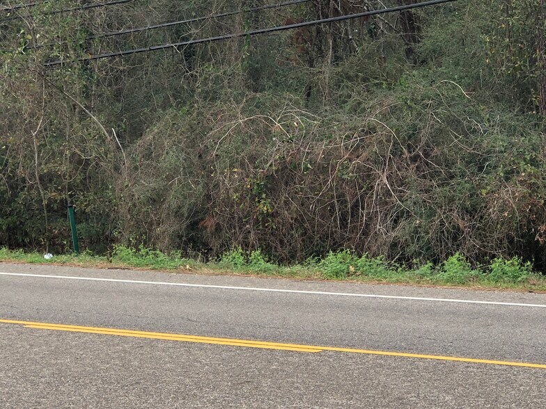 More Photos Of Hwy 190 and Hwy 22, Mandeville Land For Lease