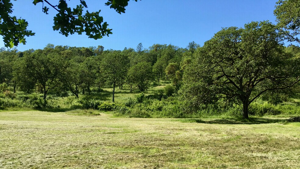 More Photos Of 0 NE Edenbower Blvd, Roseburg Land For Sale