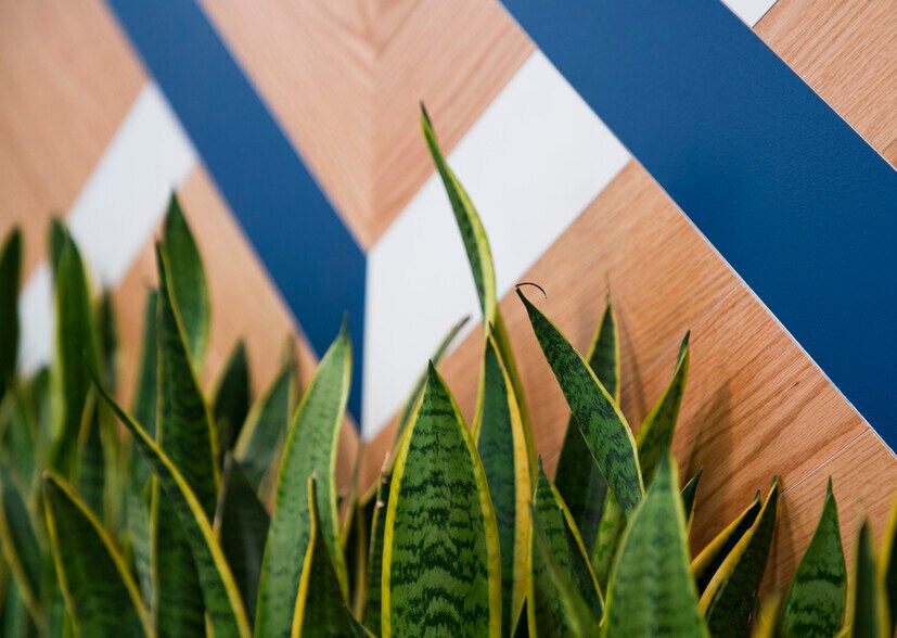 More Photos Of 1160 Battery St, San Francisco Coworking Space