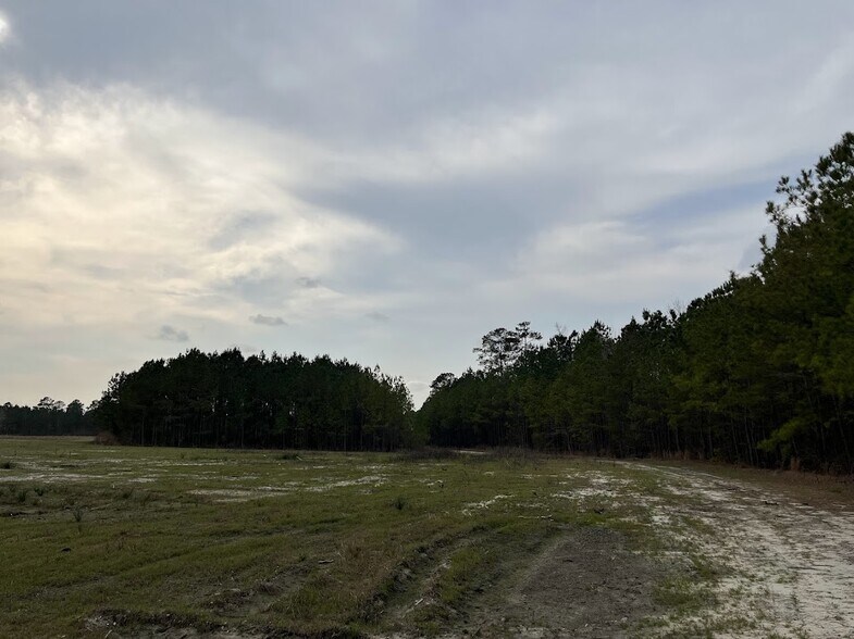 More Photos Of 00 Drop Off Dr, Summerville Land For Sale
