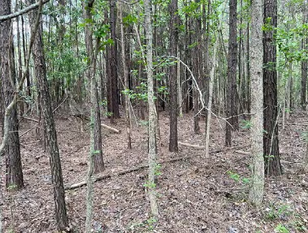 More Photos Of GA Hwy 30 & Keller Road, Port Wentworth Land For Sale