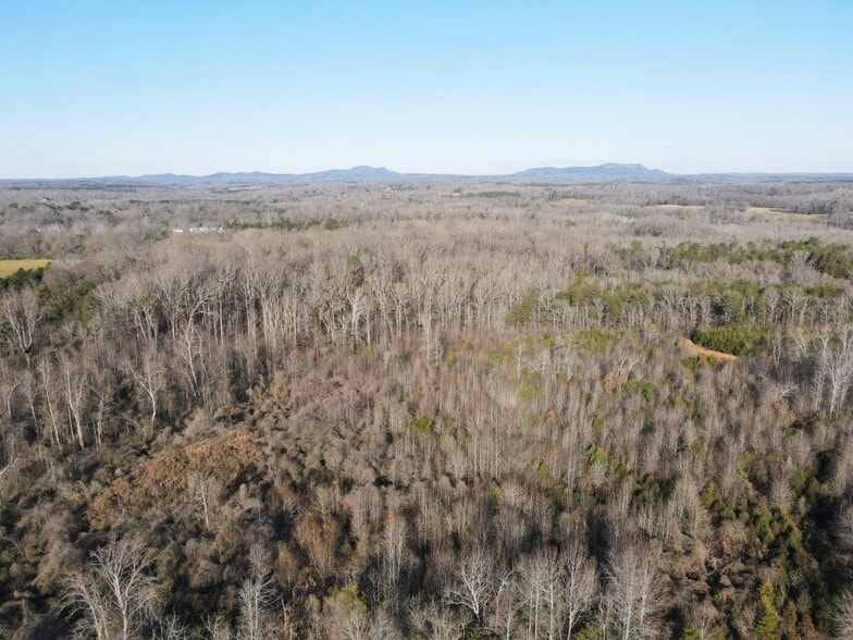 More Photos Of 0 Hwy 321, Gastonia Land For Sale