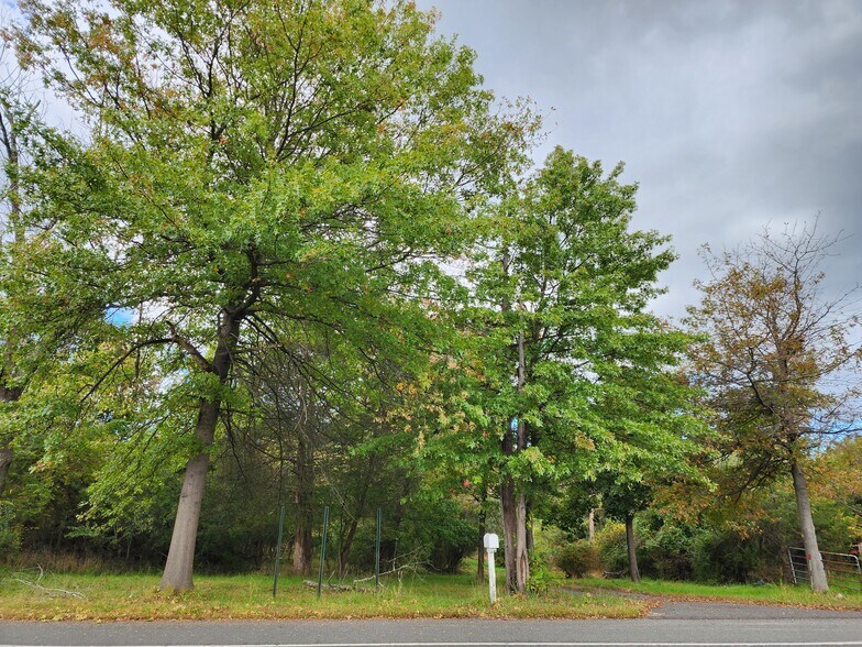 Primary Photo Of 3241 State Route 27, Franklin Park Land For Sale
