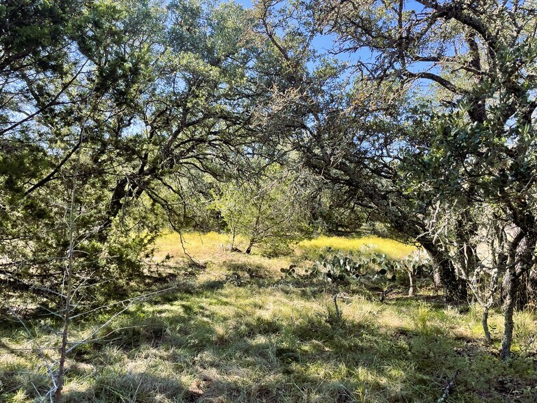 More Photos Of 1276 Farm to Market Road 574, Mullin Land For Sale