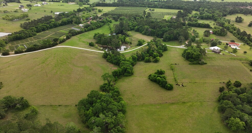 More Photos Of 231 Hostetter Rd, New Waverly Land For Sale