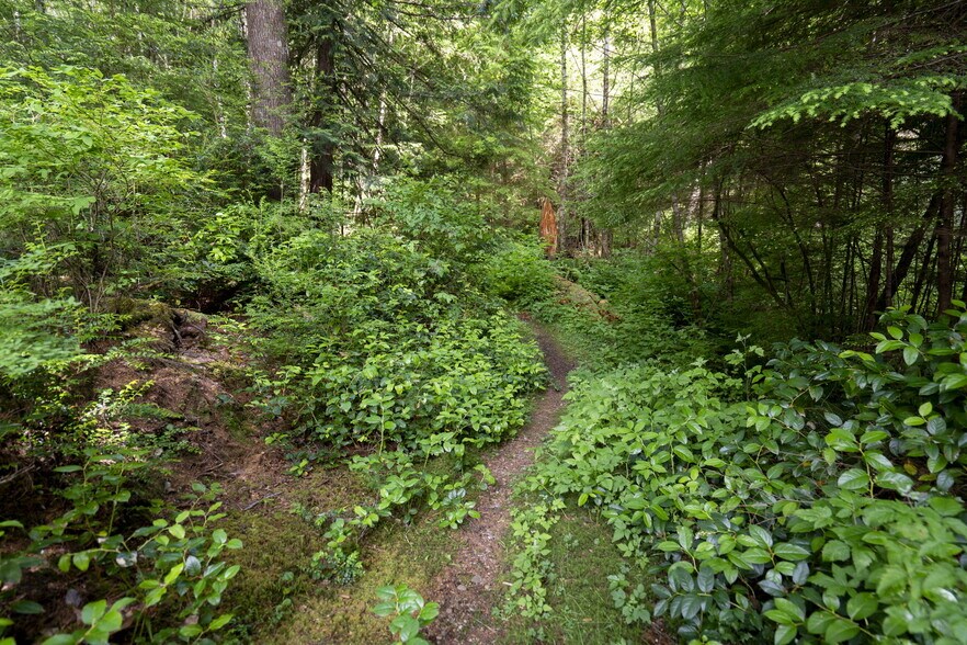 More Photos Of 20860 Hoko Ozette Rd, Clallam Bay Trailer Camper Park For Sale