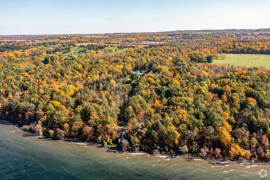 More Photos Of 7294 County Road 132, Ovid Land For Sale