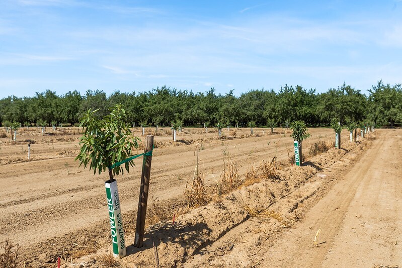 More Photos Of 0 Moon Rd, Corning Land For Sale