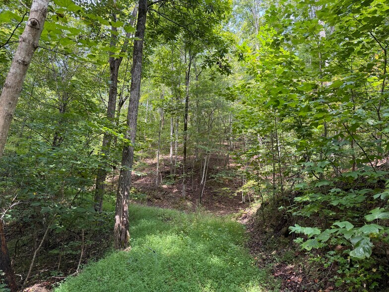 More Photos Of Fuller Mountain Rd, Fairmount Land For Sale