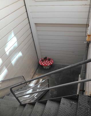 More Photos Of 59 Collingwood St, San Francisco Apartments For Sale