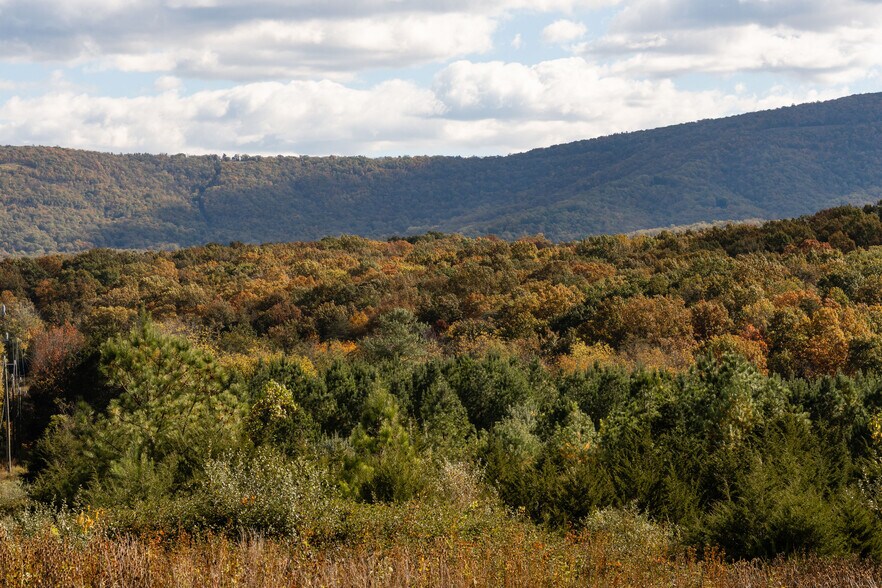 More Photos Of 461 Thunderbird Rd, Bentonville Land For Sale