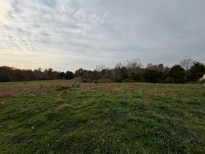 More Photos Of 23765 Charleston Rd, Leon Land For Sale