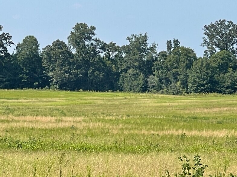 More Photos Of 17192 Co 21 rd, Marion Junction Land For Sale