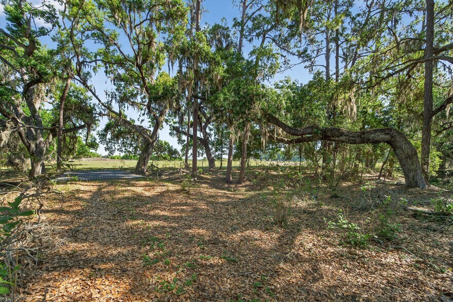 More Photos Of Carlton Rd, Plant City Land For Sale