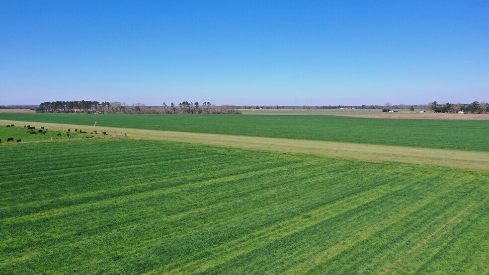 More Photos Of Lot 14 Davis Pond Rd rd, Atmore Land For Sale