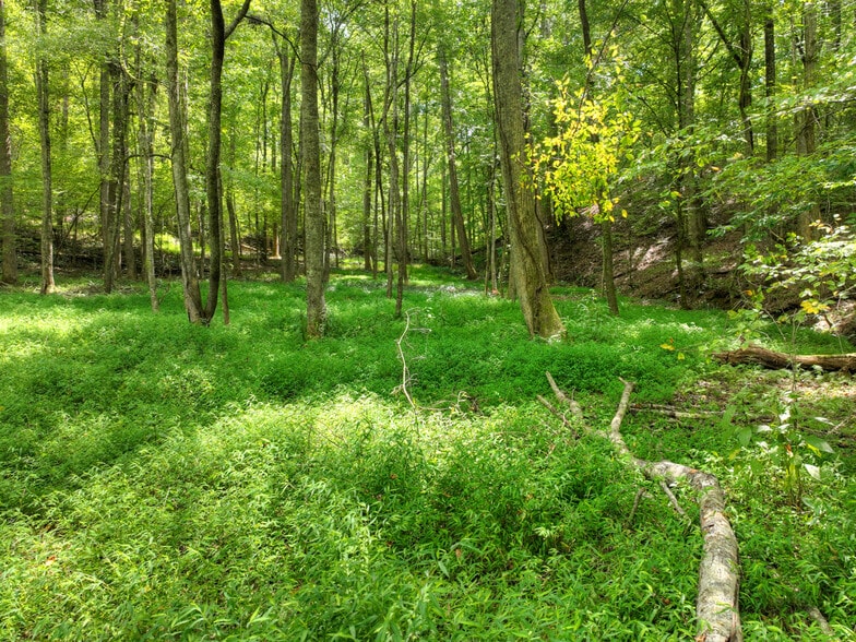 More Photos Of 77 Alpine Way, Blairsville Hotel For Sale