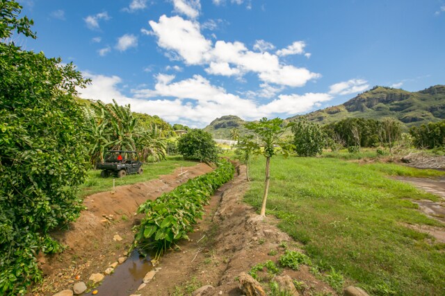More Photos Of 2500 Niumalu Rd, Lihue Land For Sale