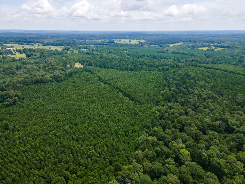 More Photos Of 2539 FM 995, Atlanta Land For Sale