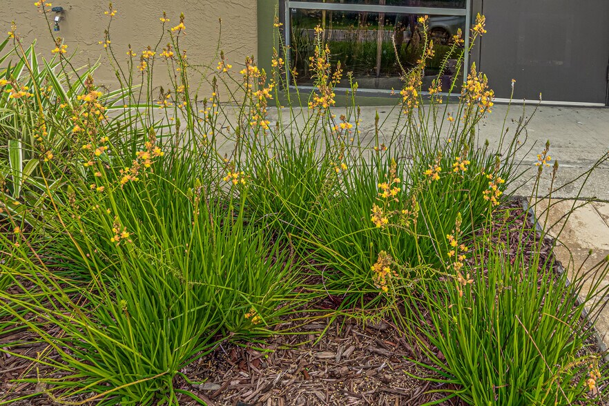 More Photos Of 119 W Plymouth Ave, Deland Unknown For Lease