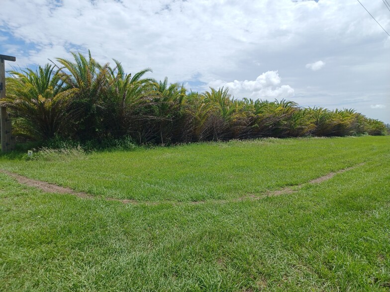 More Photos Of 46515 State Road 64 E, Myakka City Land For Sale