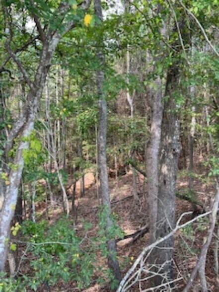 More Photos Of 21805 U.S. HWY 69S hwy, Bullard Land For Sale