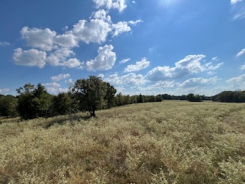 More Photos Of 21805 U.S. HWY 69S hwy, Bullard Land For Sale