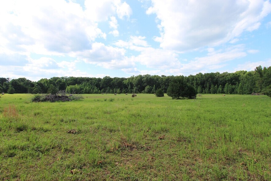 More Photos Of 278 Highway 64 E, Conway Land For Sale